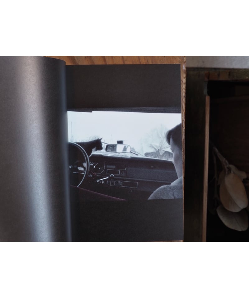 FIRST TRIP TO BOLOGNA 1978 / LAST TRIP TO VENIC