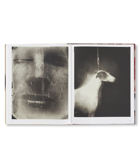 LE TEMPS RETROUVÉ CY TWOMBLY PHOTOGRAPHE ET ARTISTES INVITÉS｜Cy Twombly