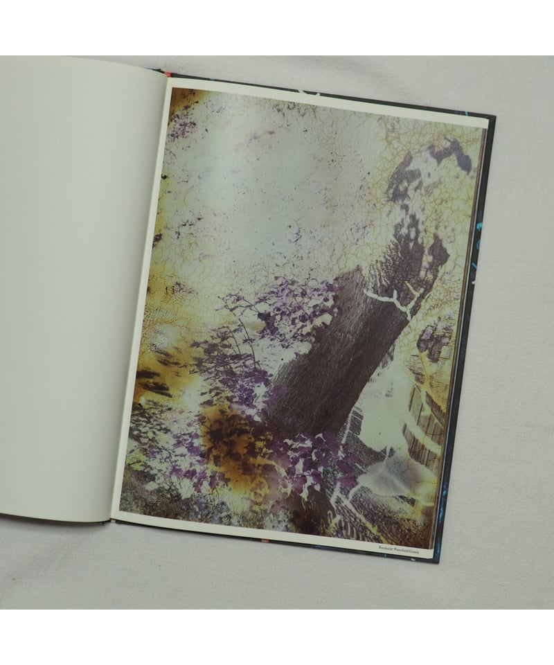 Best Before End｜Stephen Gill | button