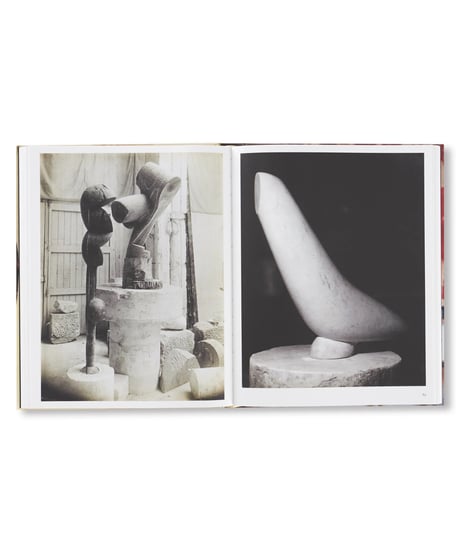 LE TEMPS RETROUVÉ CY TWOMBLY PHOTOGRAPHE ET ARTISTES INVITÉS｜Cy Twombly