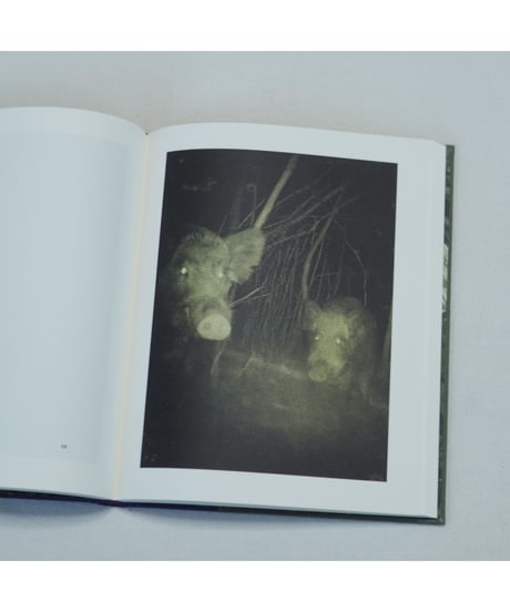 Night Procession｜Stephen Gill