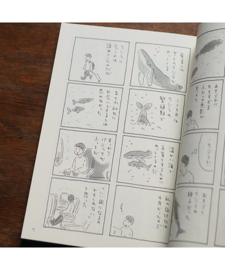 【サイン入】奄美旅「アダンの海辺」〜1.2日目〜｜中村一般