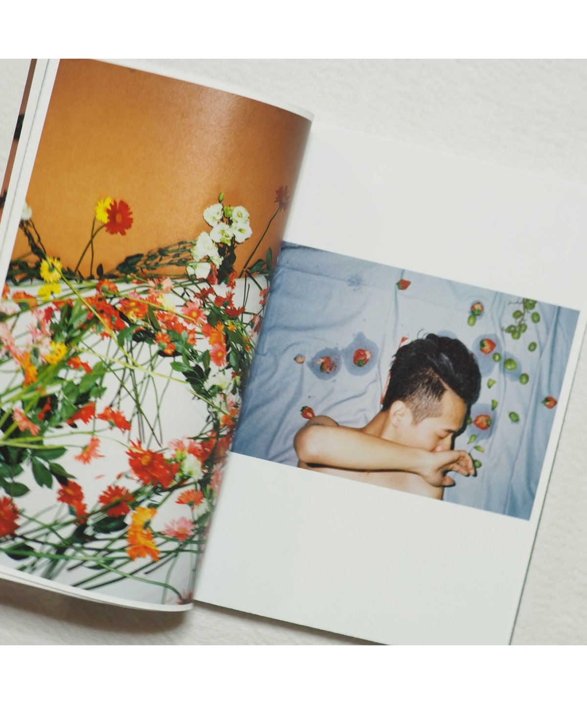 Flowers and Fruits｜リン・チーペン（林志鵬）aka No.223【1st ed./サイン入・特典付き】