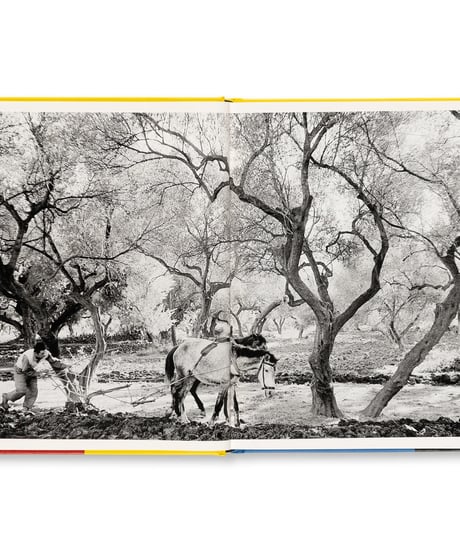 HENRI CARTIER-BRESSON: THE EUROPEANS｜Henri Cartier-Bresson, Clément Chéroux