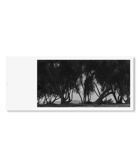 UNNAMED ROAD｜Jungjin Lee