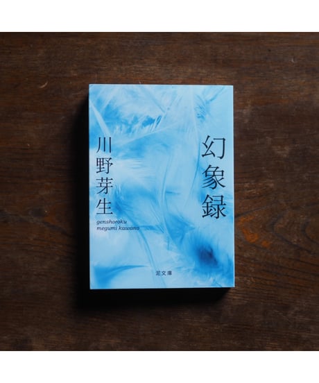 幻象録｜川野芽生