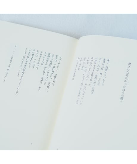 飛びたたせなかったほうの蝶々｜岬多可子