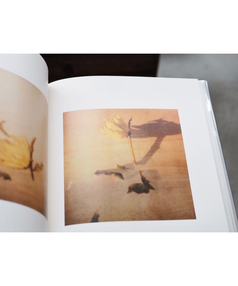 サイ・トゥオンブリーの写真 －変奏のリリシズム－ | button