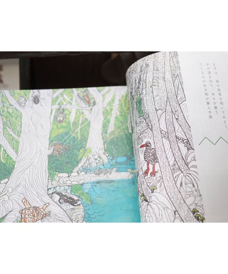 CONTE MAGAZINE VOL.2 特集：森へ来なさい。