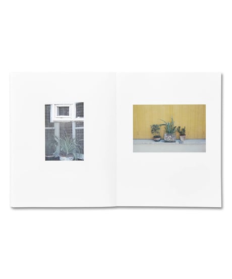COLAZIONE SULL'ERBA｜Luigi Ghirri