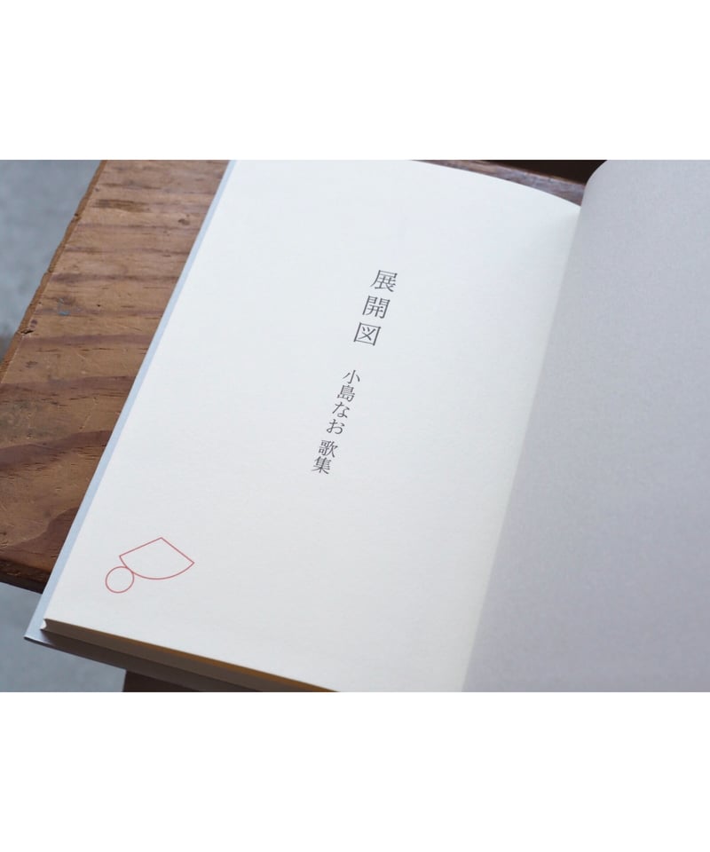 歌集 展開図 小島なお 小島なお 歌集『展開図』: さしすせ素 ブログ