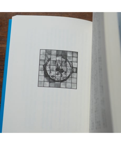 百の太陽／百の鏡 写真と記憶の汀｜新井卓