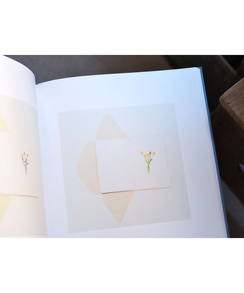 【希少】Roni Horn ロニ・ホーン 作品集【美品】 Amazon.co.jp: 本bird by RONI HORN ロニ ホーン作品集 : おもちゃ