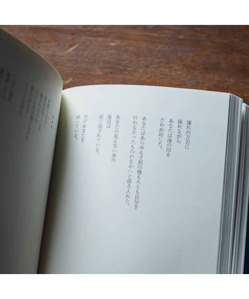 ネリー・ザックス詩集｜ネリー・ザックス 綱島寿秀/訳 | button