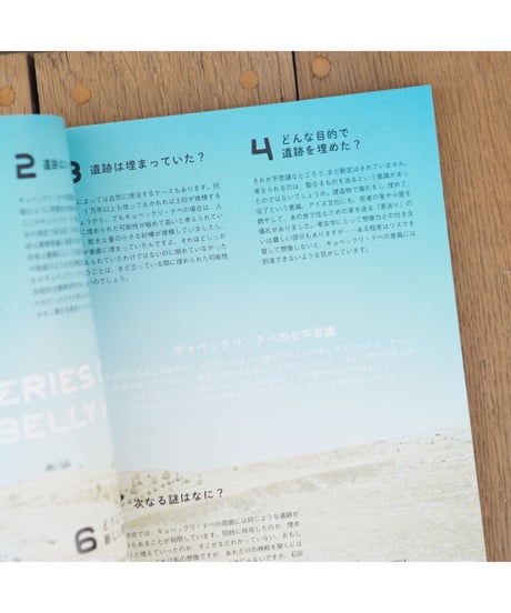 LOCKET 第5号 BEAR ISSUE 「野性の造形」トルコ・ドイツ・知床・西表