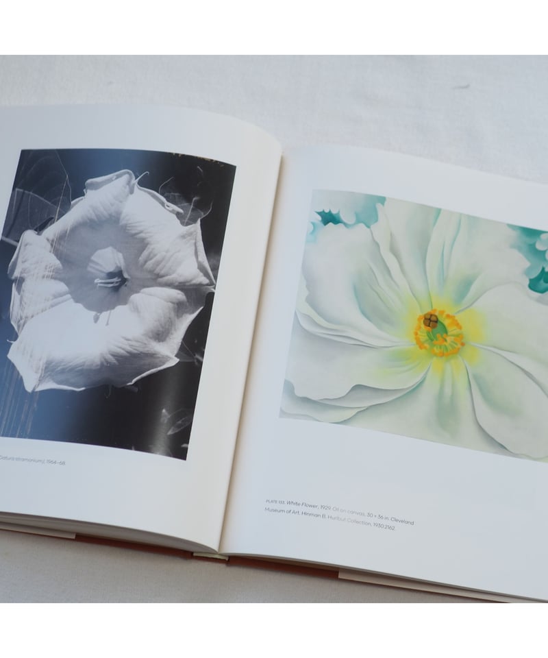 Georgia O'Keeffe アート写真集 ジョージア オキーフ 写真集 Georgia O