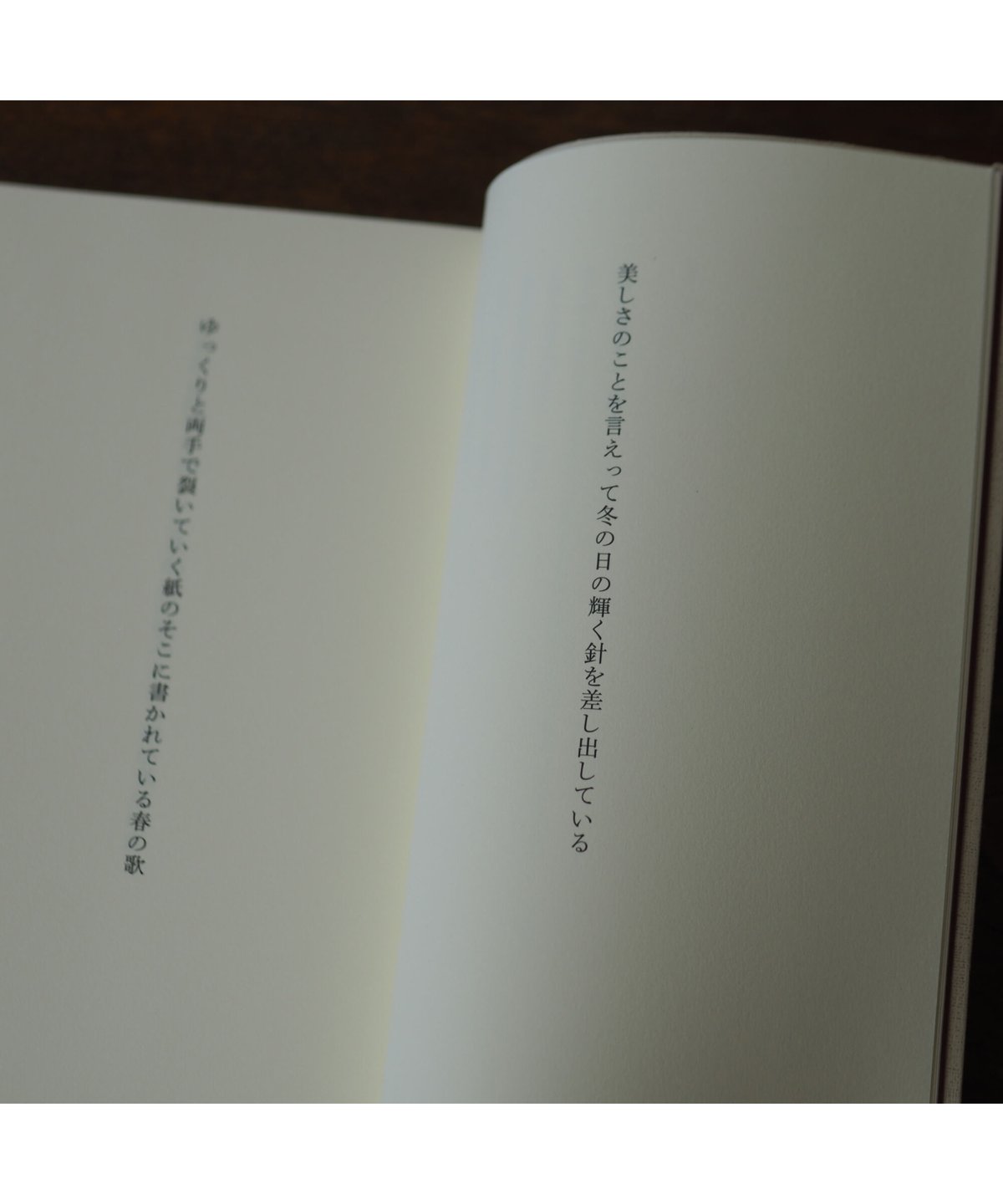 やがて秋茄子へと到る｜堂園昌彦 | button