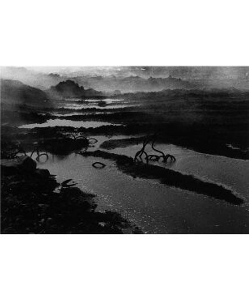 North Point 北点｜中居裕恭 写真集 | button