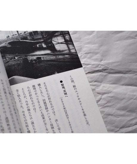 野掛けの人 /  編集室マッチ
