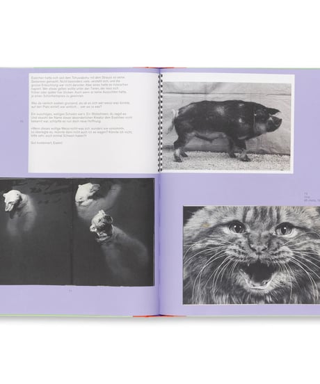 L IS FOR LOOK CHILDREN’S PHOTOBOOKS