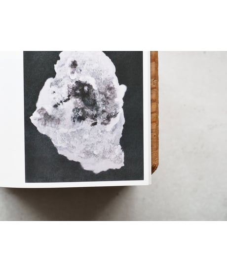 Mount Analoge / 柴田高志