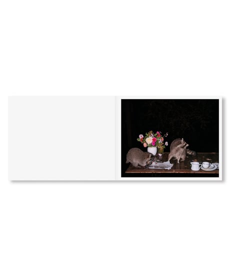 PLATES I-XXXI｜Lia Darjes