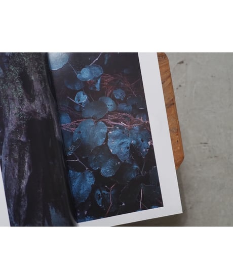 polaris ISSUE00