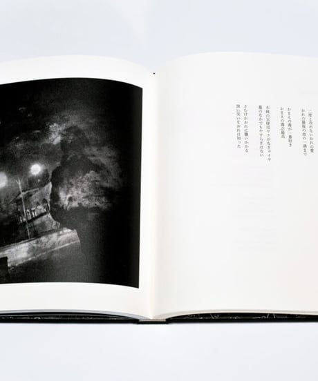 The Last One〈Poésies : Les Rallizes Dénudés〉裸のラリーズ詩集