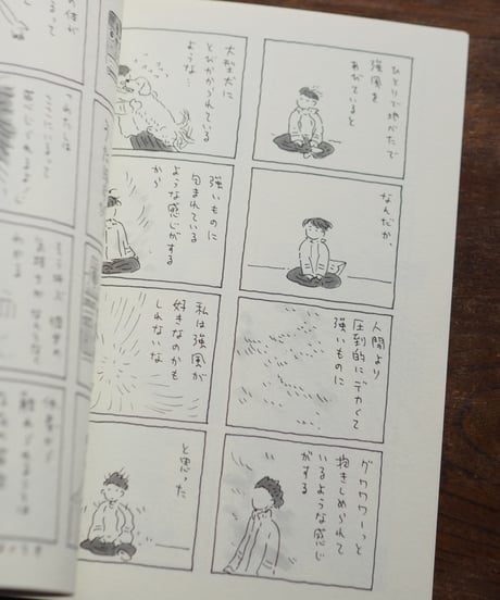 【サイン本】奄美旅 下 3~6日目「徳之島のガジュマル」｜ 中村雅奈 中村一般