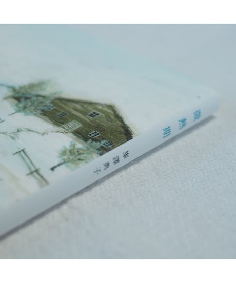微熱期｜峯澤典子