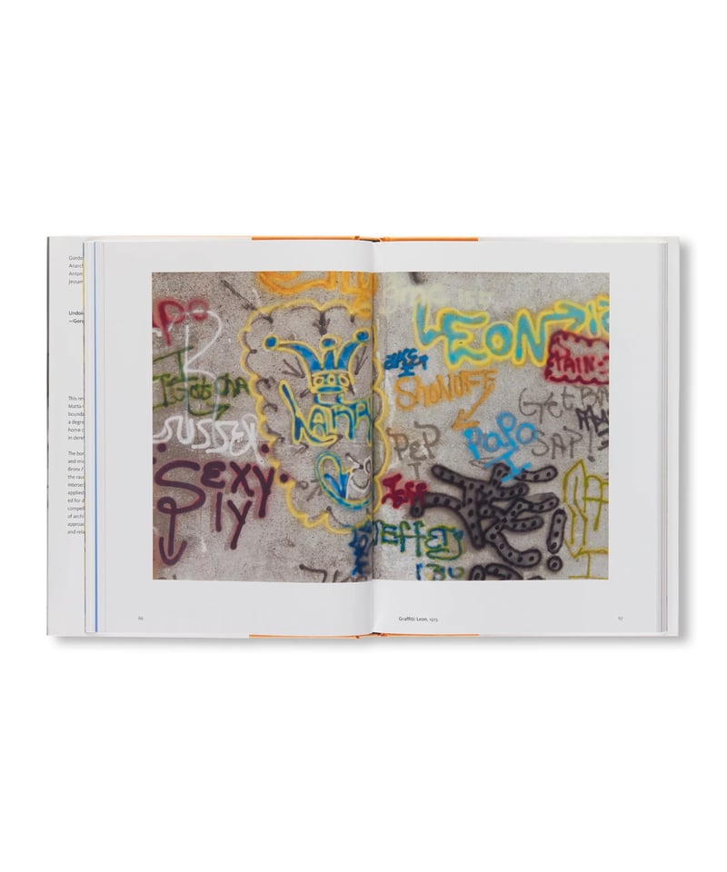 GORDON MATTA-CLARK: ANARCHITECT｜Gordon Matta-Cl