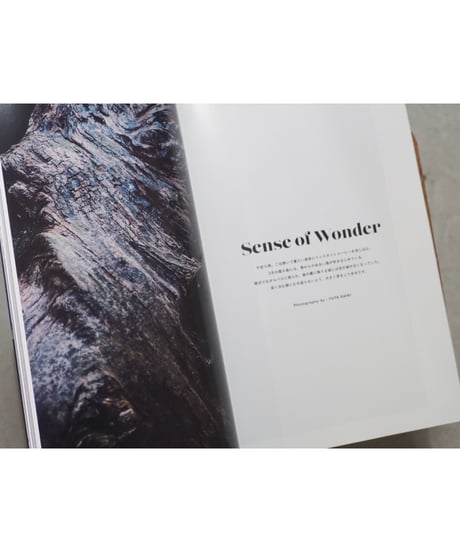 polaris ISSUE00