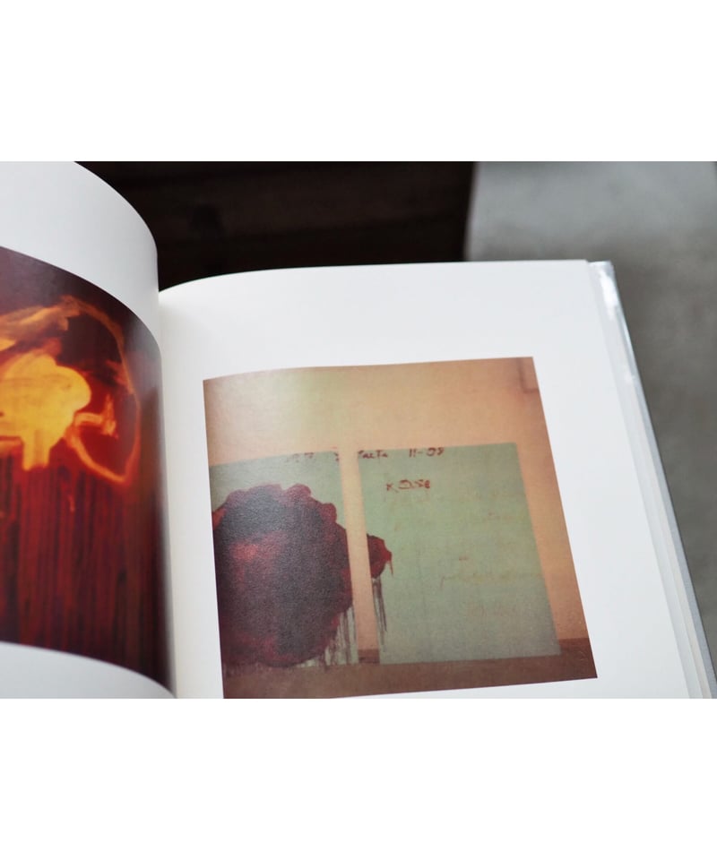 サイ・トゥオンブリーの写真 変奏のリリシズム　Cy Twombly サイ・トゥオンブリーの写真 変奏のリリシズム | 玄玄書林