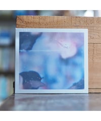【CD】Trust｜Fields We Found