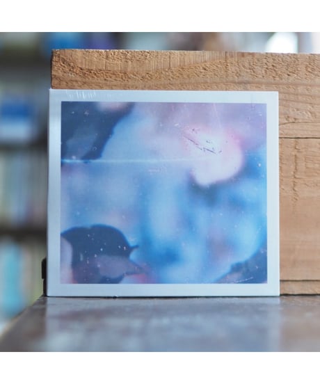 【CD】Trust｜Fields We Found
