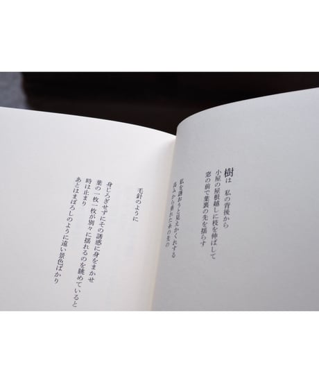 樹下 / 安藤元雄