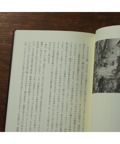 場所、それでもなお｜ジョルジュ・ディディ=ユベルマン 江澤健一郎/訳