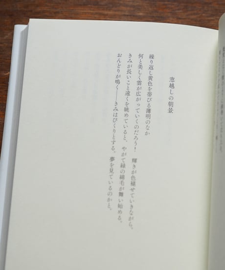 ハインレ詩文集｜クリストフ・フリードリヒ・ハインレ 柿木伸之/訳 ジョルジョ・アガンベン/序文