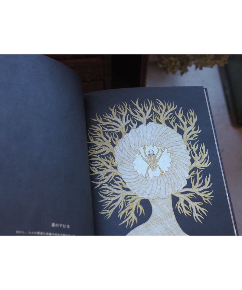 ジャガーウーマン〜蝶の木の教え 近畿日本鉄道 30000系ビスタカーセット ｜製品情報｜製品検索