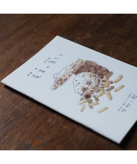 【サイン入】奄美の魚たち｜中村一般