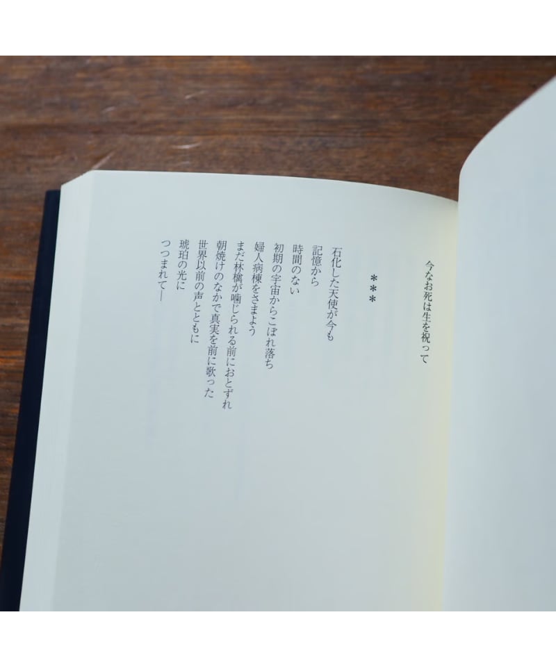 ネリー・ザックス詩集