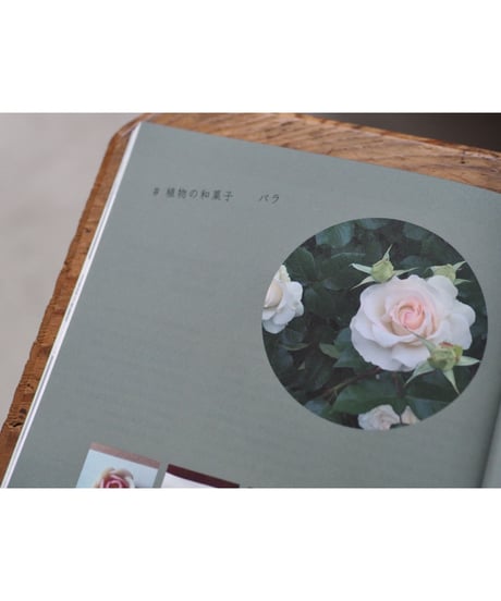 ideallife with plants 11号 植物の香り