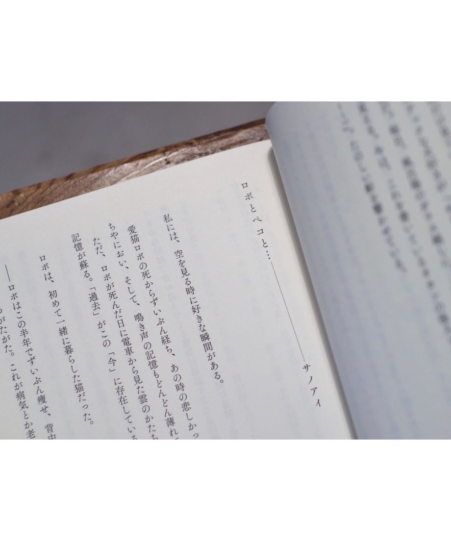 6097e898da019c6c61c0bcaf