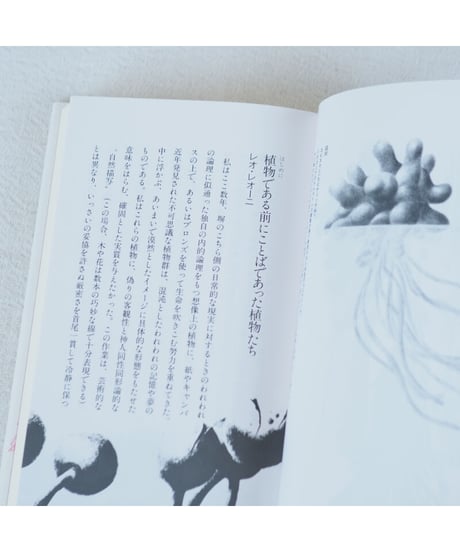 平行植物｜レオ・レオーニ　宮本淳/訳