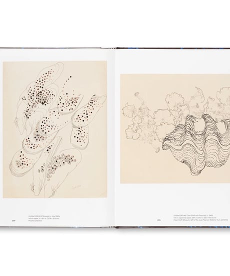 RUTH ASAWA THROUGH LINE｜Ruth Asawa