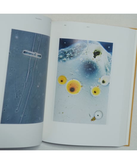 COMING UP FOR AIR– A RETROSPECTIVE (CATALOGUE 2021)｜STEPHEN GILL