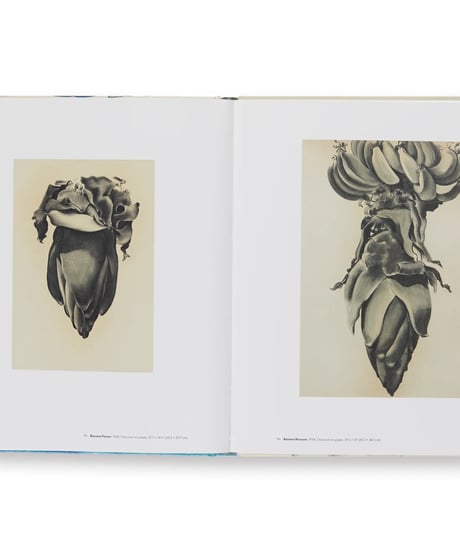 TO SEE TAKES TIME｜Georgia O'Keeffe