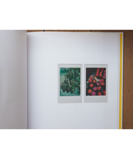 POLAROIDS | Romain Laprade