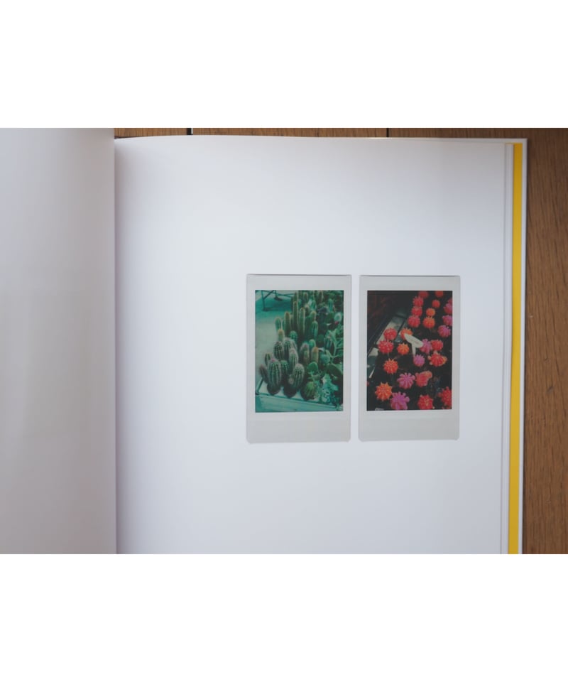 POLAROIDS | Romain Laprade | button