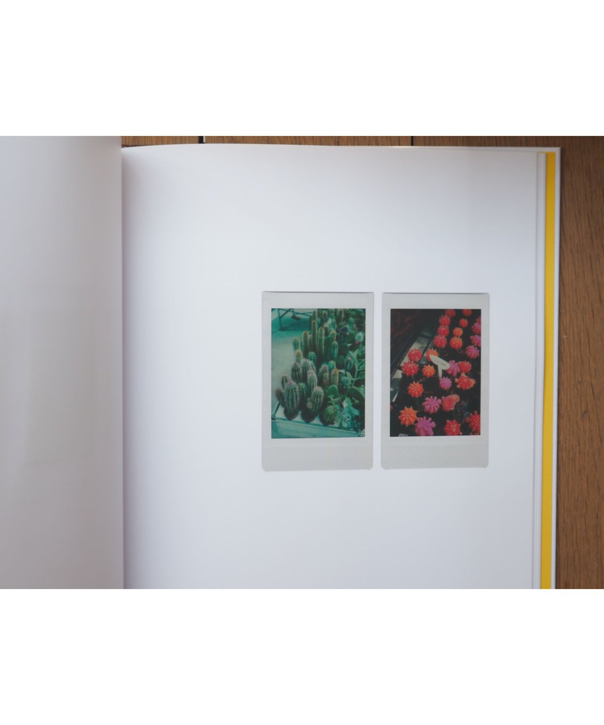 写真集 POLAROIDS by Romain Laprade book / POLAROIDS by Romain Laprade – carol ONLINE STORE